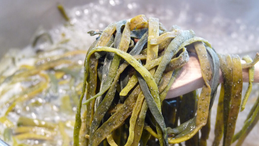 Meeresspaghetti gekocht - Algen Ballaststoffe