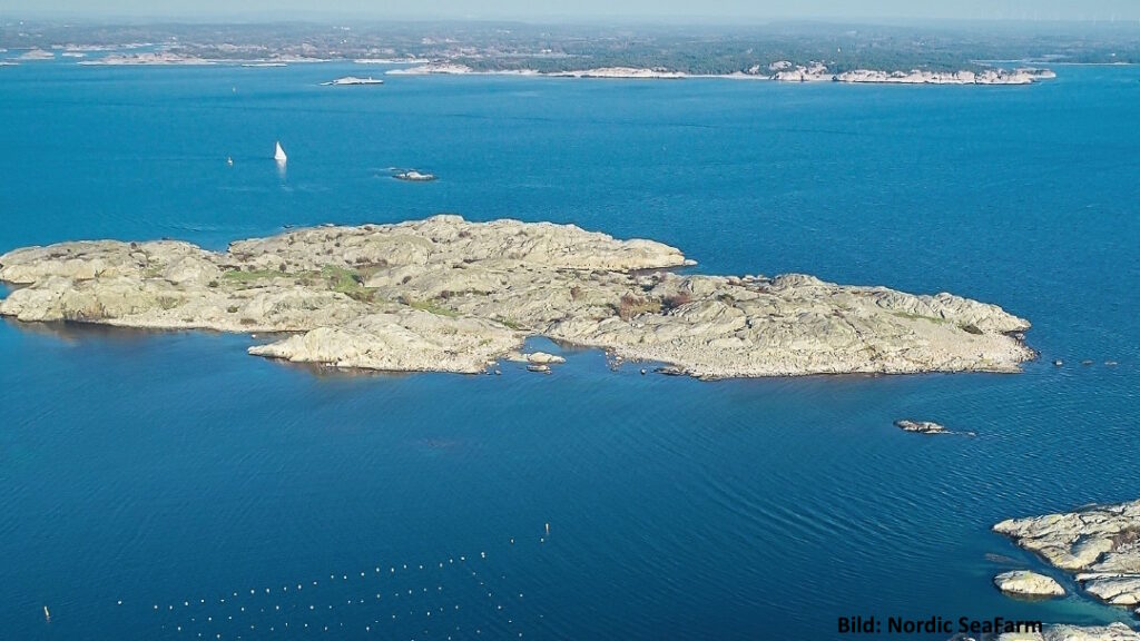 Woher stammen unsere Algen? Schweden. Anbaugbiet von Nordic SeaFarm